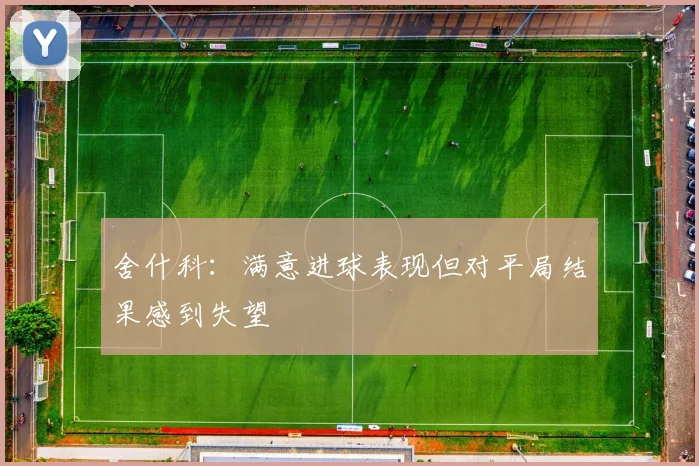 舍什科：满意进球表现但对平局结果感到失望
